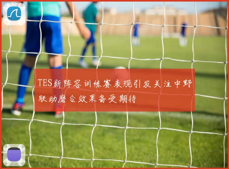 TES新阵容训练赛表现引发关注中野联动磨合效果备受期待